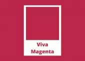 Viva Magenta - a 2023-as u00e9v szu00edne