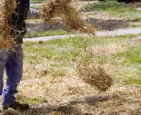 Agrotextu00edlia