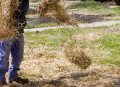 Agrotextu00edlia