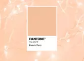Peach Fuzz - Pantone szín 2024-re