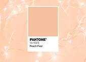 Peach Fuzz - Pantone szu00edn 2024-re