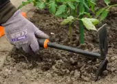 Hogyan lehet megszabadulni a gyomoktol a jardakovek kozott?