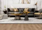 Padlu00f3k u00e9s padlu00f3lapok