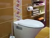 A wc ülőke kiválasztása