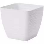 Sahara Petit 13 cm fehér