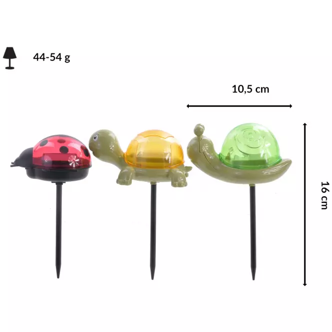 Naplámpa teknősbéka ID-353420,3