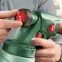 Bosch porlasztó rendszer PFS 1000,3