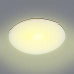 Mennyezet GLASS 250Y CLEAR D25 PL1