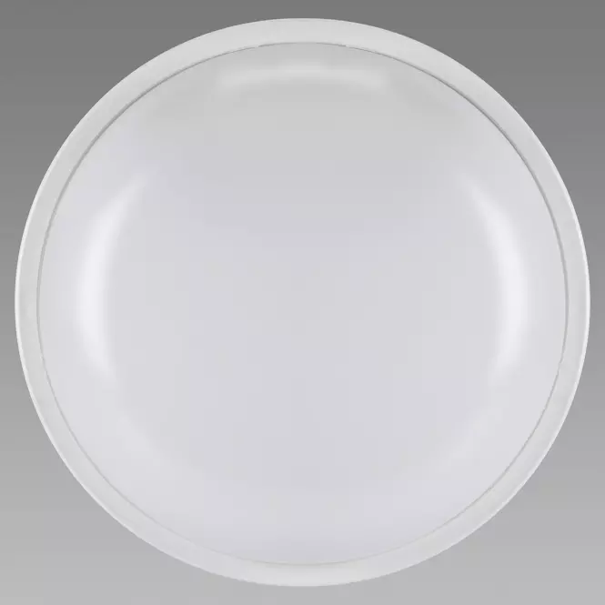 Mennyezeti lámpa Filip LED C 18W White 4000K 03818