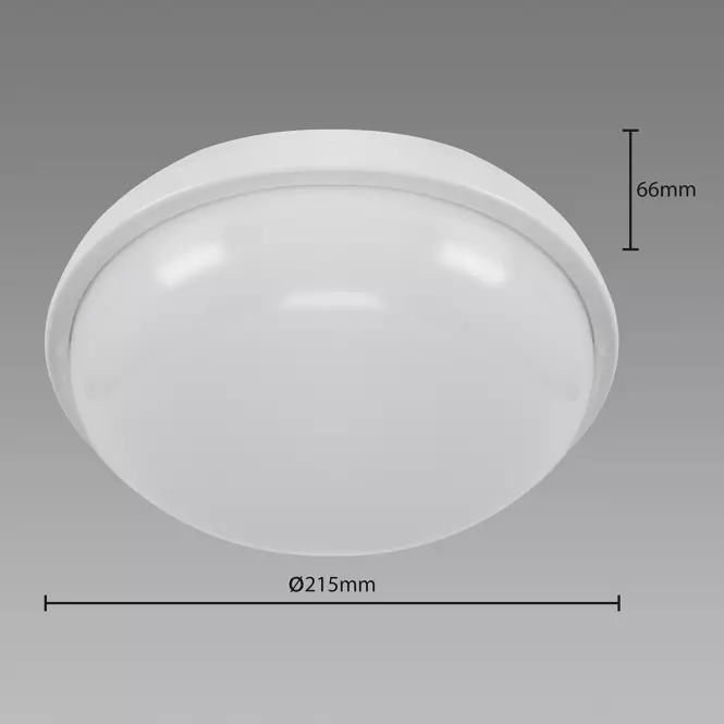 Mennyezeti lámpa Filip LED C 24W White 4000K 03819