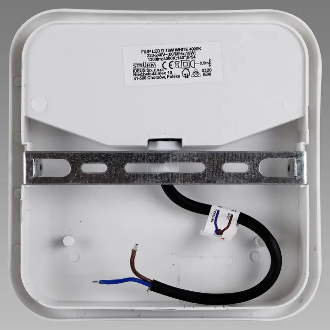 Mennyezeti lámpa Filip LED D 18W White 4000K 03820,5
