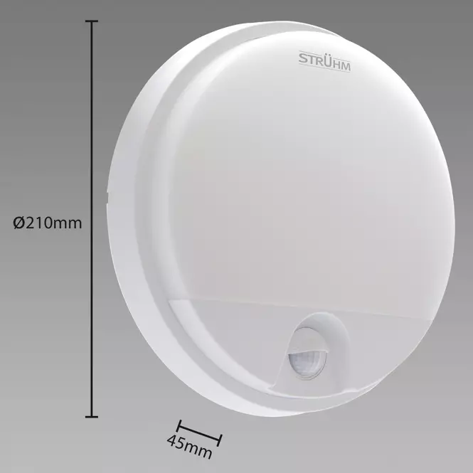 Mennyezet PEDRO LED SC 15W 4000K White 03794 PL1