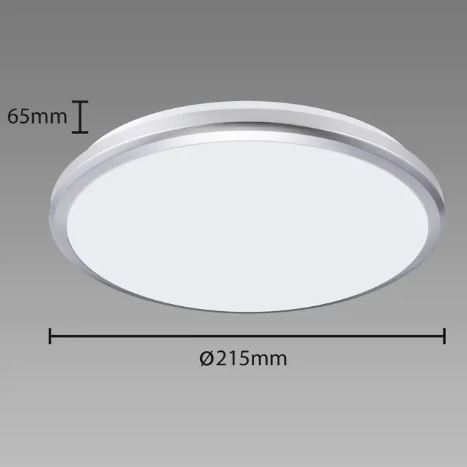 Mennyezeti lámpa Planar LED 12W Silver 4000K 03838 PL1