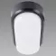 Mennyezeti lámpa Aron LED L 12W Black 4000K 03798,7