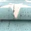 Szőnyeg Scandinavia 1,2/1,7 18209 031,4