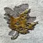 Szőnyeg Heatset Craft 0,8/1,5 50000 257,4
