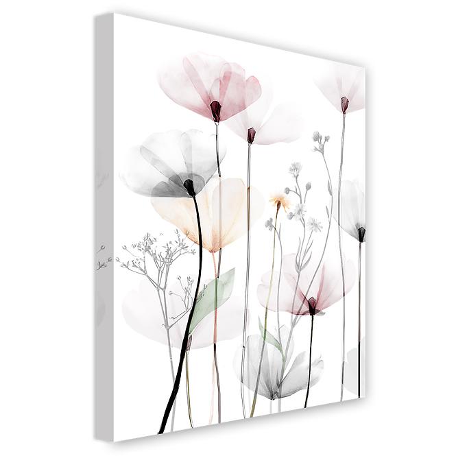 Canvas 60x80c St543 Modern Poppy 1