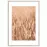 Artbox Digi 50x70 Ab079 Grasses II