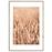 Artbox Digi 50x70 Ab079 Grasses II