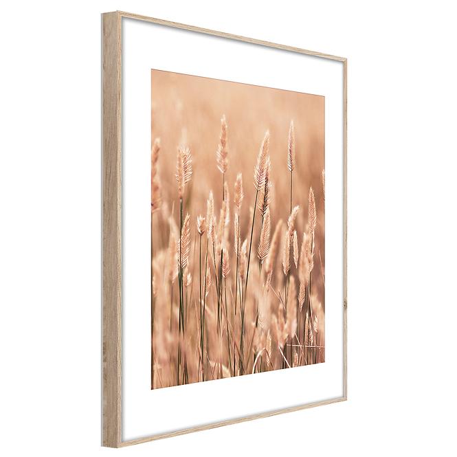Artbox Digi 50x70 Ab079 Grasses II