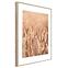 Artbox Digi 50x70 Ab079 Grasses II,2