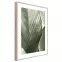 Artbox Digi 50x70 Br002 Macro,2
