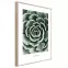 Artbox Digi 50x70 Br007 Echeveria,2