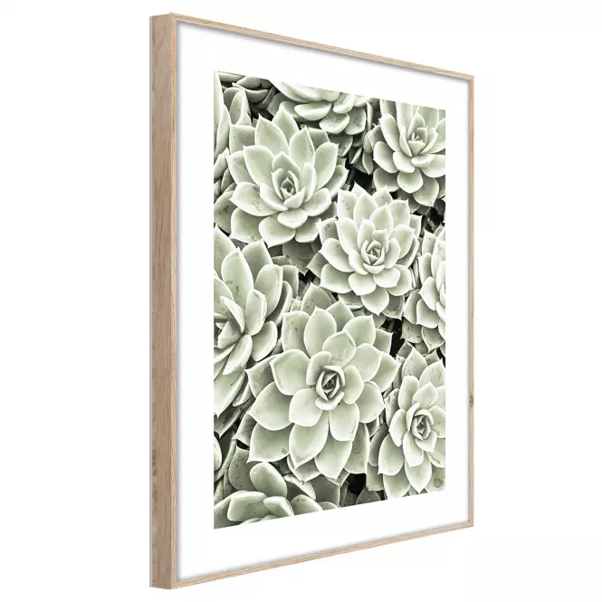 Artbox Digi 50x70 Br009 Succulents