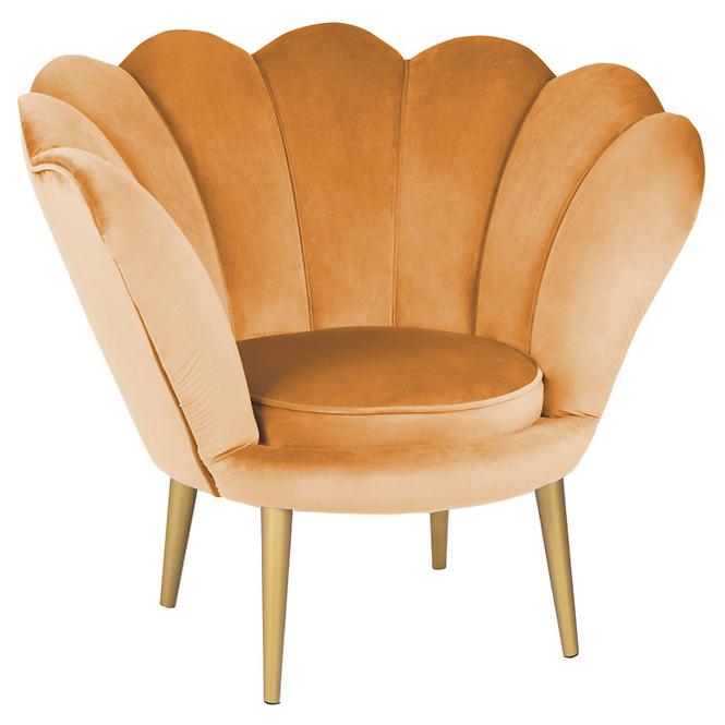 Fotel Tristan Bluvel 68/arany
