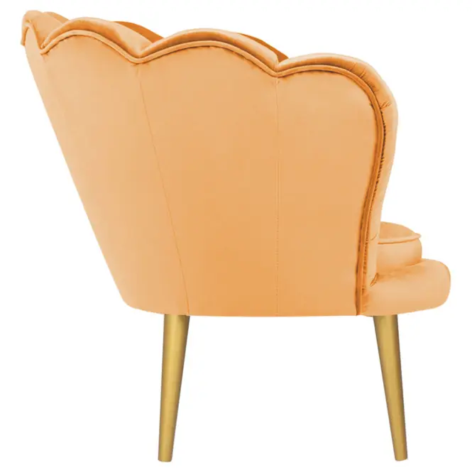 Fotel Tristan Bluvel 68/arany,4