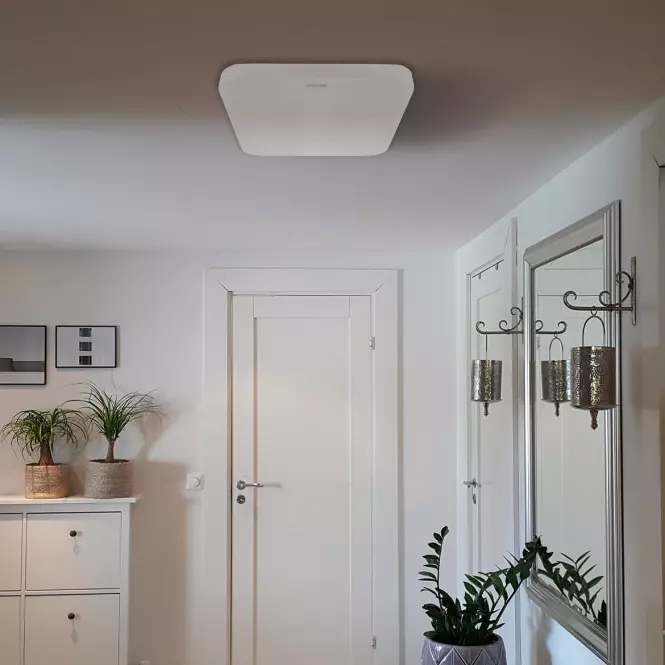 Mennyezet Urania LED D 24W 4000K 03920  Fehér K PL1