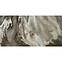 Csempe Gres Nexside Bron Pulido/Poler 60/120 Rect.PEI 3,13