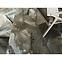 Csempe Gres Nexside Bron Pulido/Poler 60/120 Rect.PEI 3,17