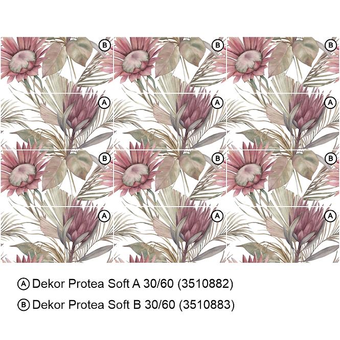 Csempe Dekor Protea Soft A 30/60