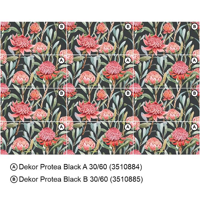 Csempe Dekor Protea Black A 30/60