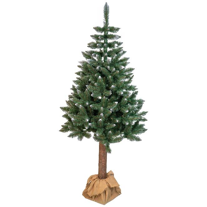 Karácsonyfa lucfenyő a tuskón BK 220 cm