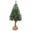 Karácsonyfa lucfenyő a tuskón BK 220 cm,5