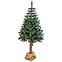 Karácsonyfa lucfenyő a tuskón BK 220 cm,5