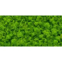 Csempe Dek. Pure Moss Glass 30/60