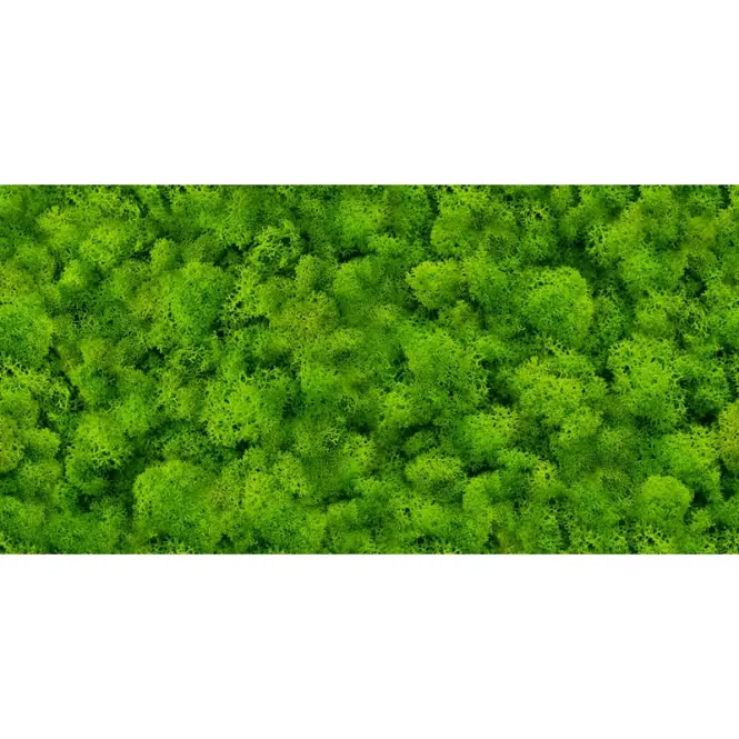 Csempe Dek. Pure Moss Glass 30/60