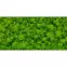 Dek. Pure Moss Glass 30/60