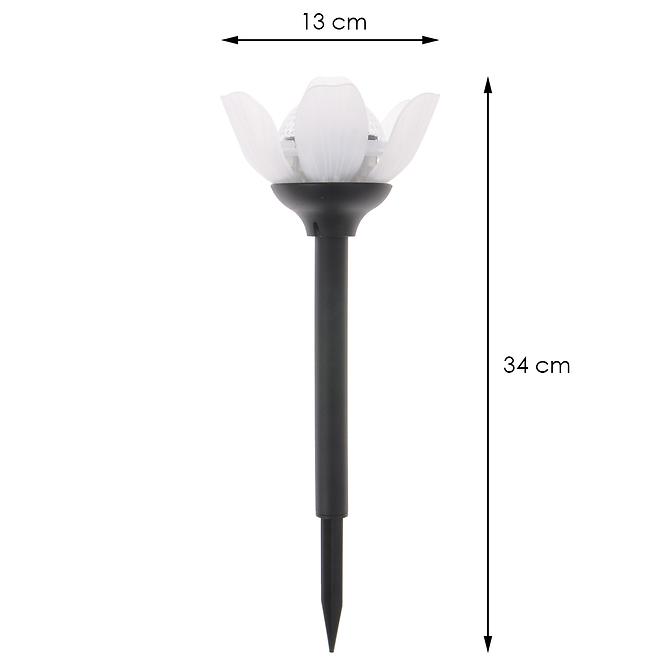 Szolár megvilágítás fehér tulipán ST 93