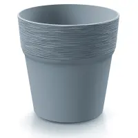 szürke