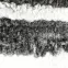 Szőnyeg Heatset Daisy 1.6/2.3 B901X 24R48,4