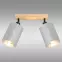 Lámpa DAFNE AS-DAE142BR LS2