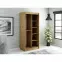Szekrény Halifax T2 100 Tölgy Artisan/fekete/Tükör,4