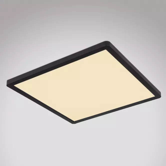 Mennyezet 41563-24B LED fekete PL