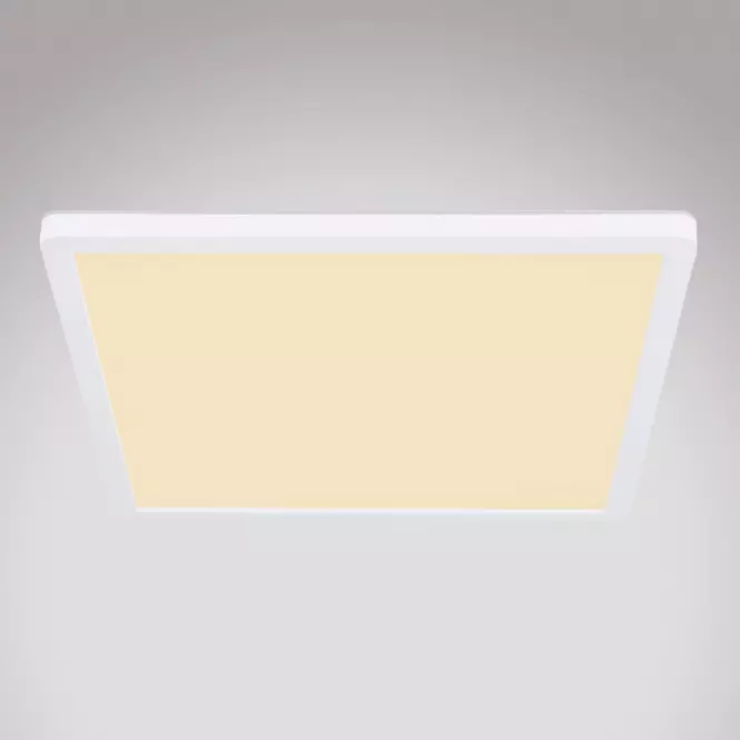 Mennyezet 41563-24W LED fehér PL