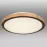 Mennyezet 41764-24 LED 24W fekete PL