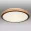 Mennyezet 41764-24 LED 24W fekete PL